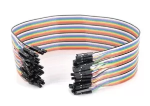 Dây Bẹ Cái-Cái Dài 20cm